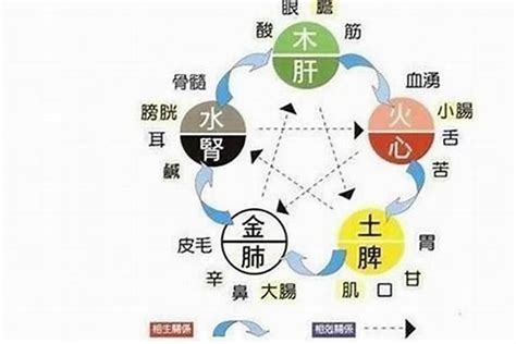 五行缺水戴什么|命里缺水怎么解决 命理缺水的人戴什么好